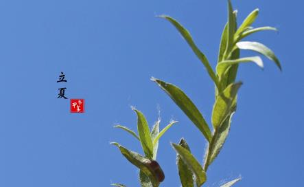 中國傳統節日之立夏