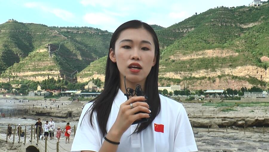 港澳臺(tái)海外青年代表王海景寄語建黨百年（視頻）